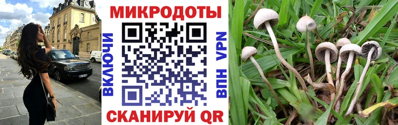 Галлюциногенные грибы Magic Shrooms  Майский 